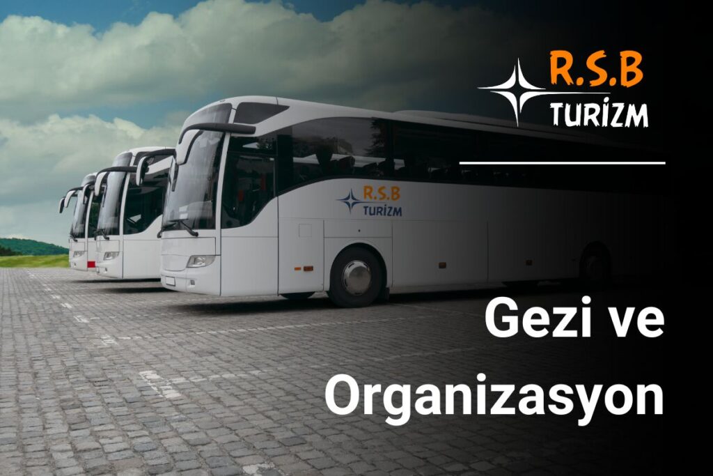 Gezi ve Organizasyon